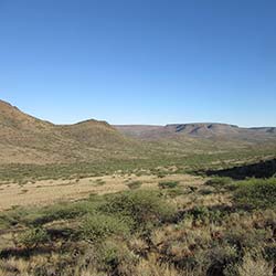 Plaas vlaktes